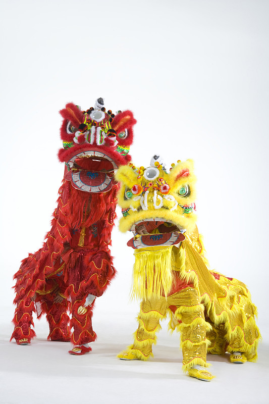 对狮看镜头图片下载