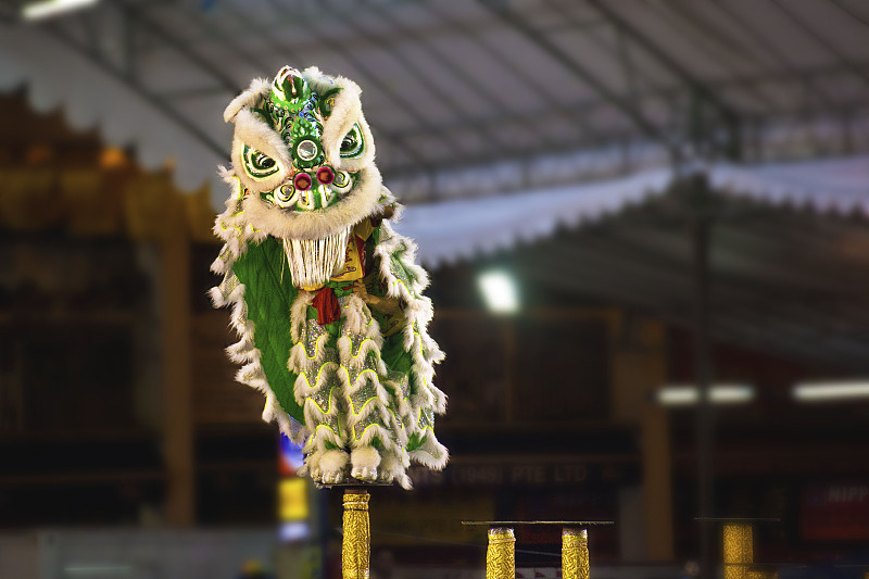 舞狮表演图片下载