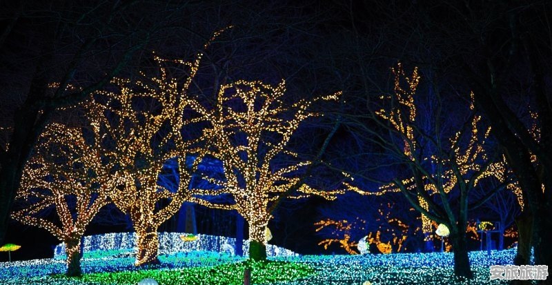 青海社火北京演出时间_青海社火由来 - 安旅旅游