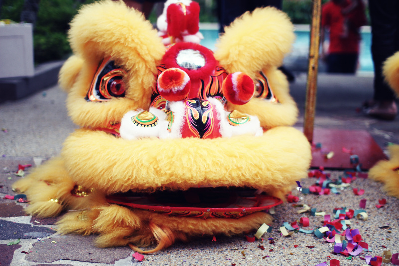 龙头龙舞后图片下载