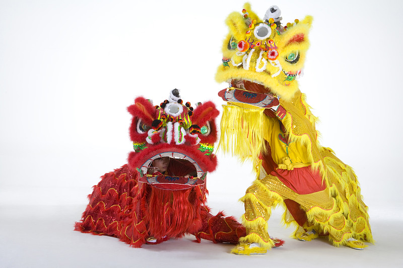 对狮看镜头图片下载