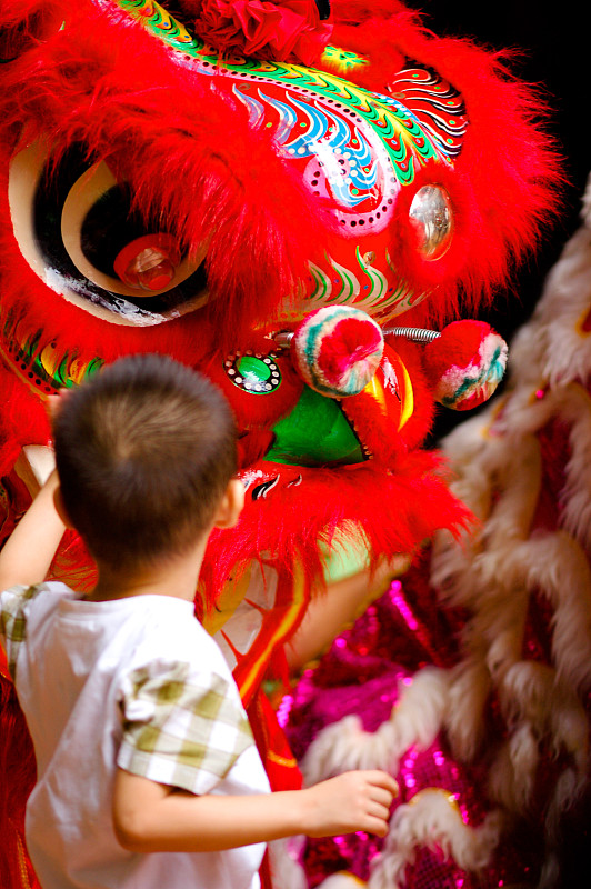 男孩摸着狮子的头图片下载