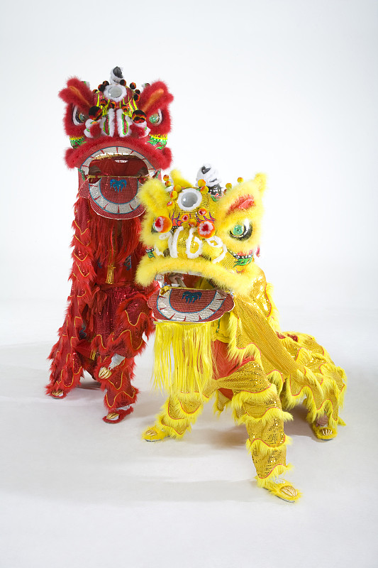 对狮看镜头图片下载