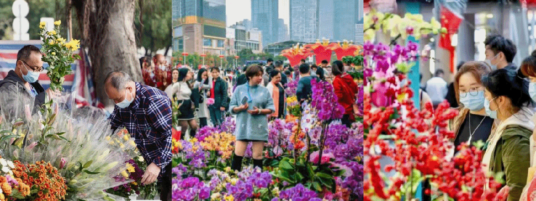 （现场氛围示意图）