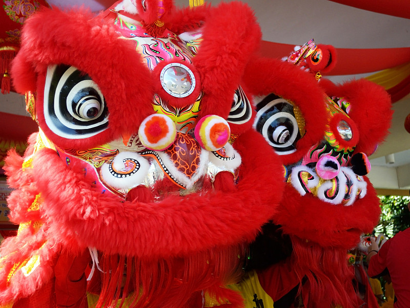 春节期间的舞狮活动图片下载
