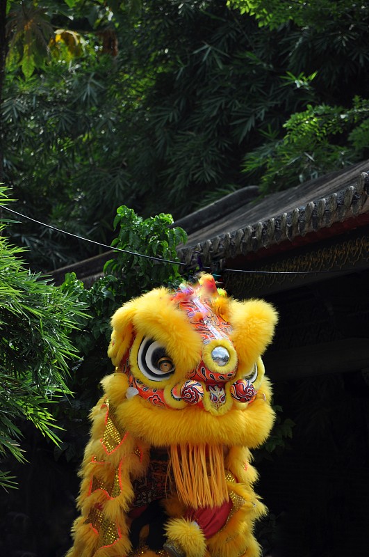 佛山祖庙醒狮 舞狮图片下载