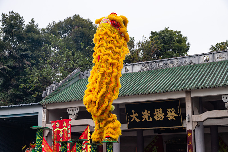 广东传统舞狮表演图片下载