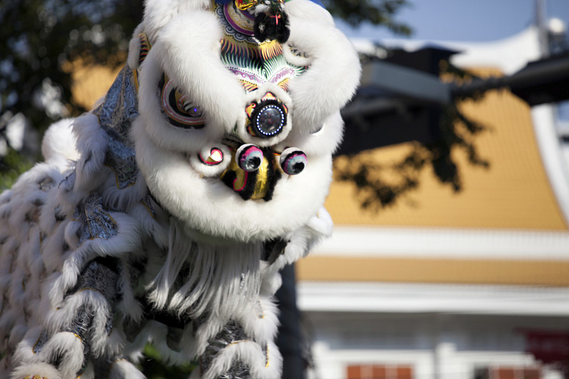 传统的舞狮在中国新年图片下载
