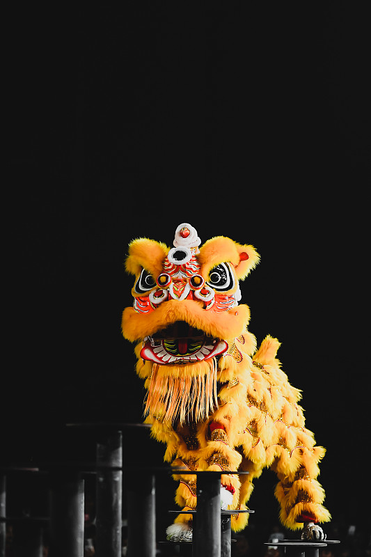黑色背景下醒狮的特写镜头图片下载